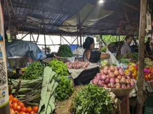 GST Jolt to Karnataka Vendor Worries UPI Users