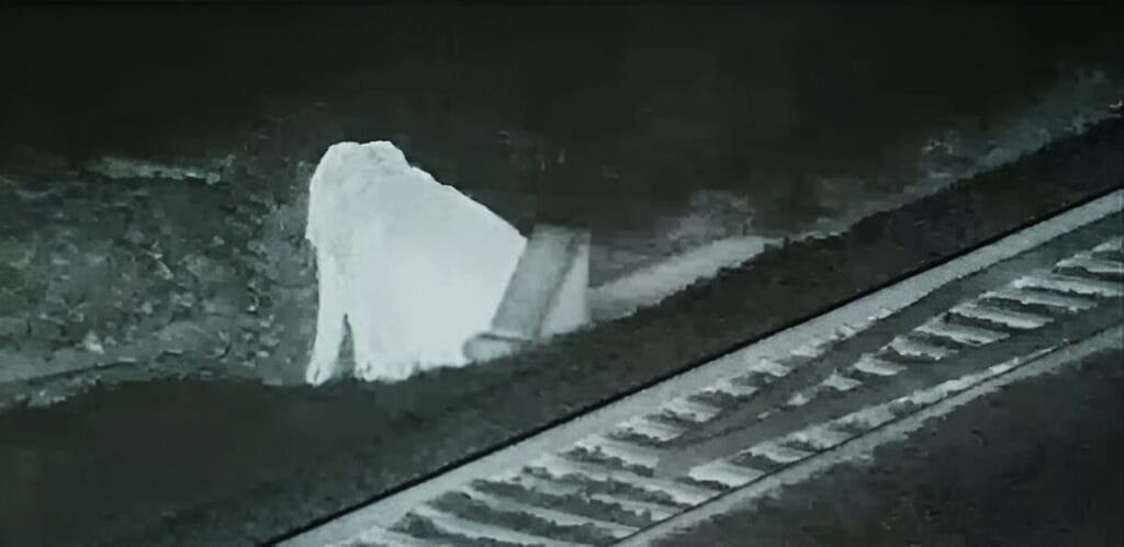 "Tamil Nadu Forest Department Uses AI to Protect Elephants"