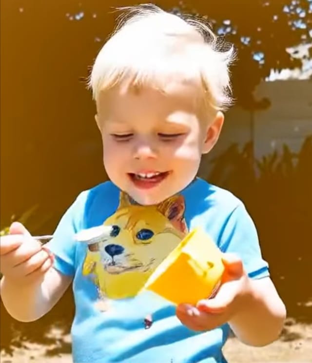 Elon Musk’s Childhood Photo Recreated by Grok Imagine, Video Goes Viral