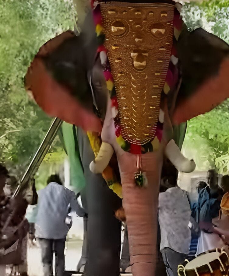 Jackie Shroff, PETA India Gift Mechanical Elephant to Kerala Temple