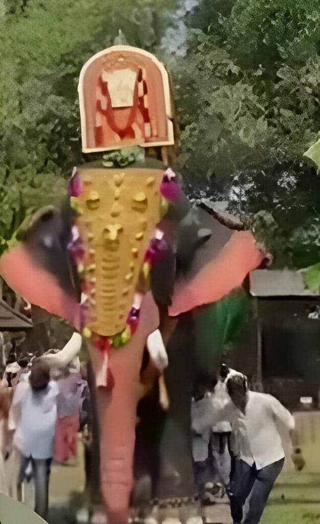 Jackie Shroff, PETA India Gift Mechanical Elephant to Kerala Temple