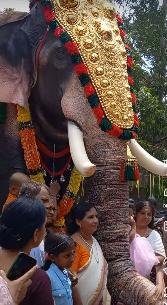 Jackie Shroff, PETA India Gift Mechanical Elephant to Kerala Temple