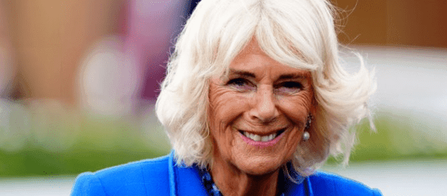 Queen Camilla Once Defended Herself From Train Attacker Using Her Shoe, Claims New Book