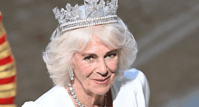 Queen Camilla Once Defended Herself From Train Attacker Using Her Shoe, Claims New Book