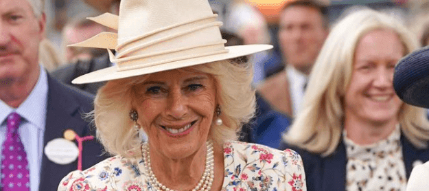 Queen Camilla Once Defended Herself From Train Attacker Using Her Shoe, Claims New Book