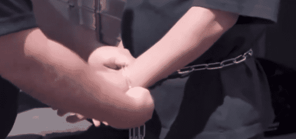 Tense Operation at Hyundai Plant as US Agents Arrest Numerous Koreans