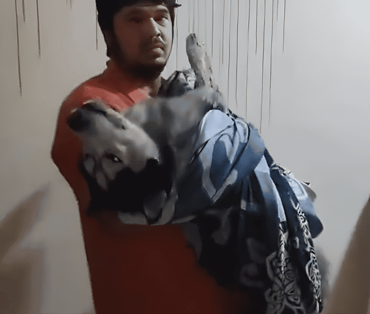 AC Blast in Faridabad Kills Man, Wife, Daughter, and Pet Dog