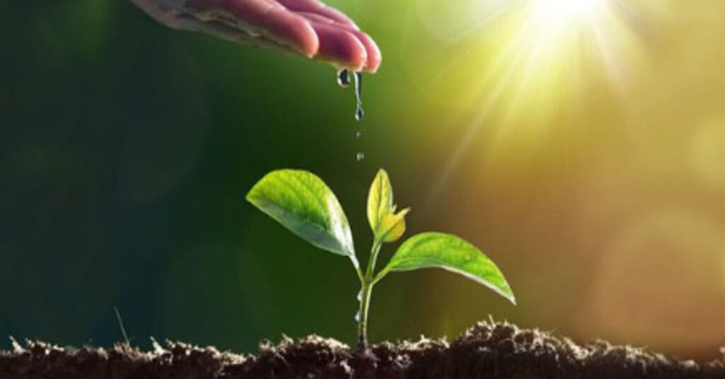 1:10 Stock Split: Tata Group Shares Rally After Record Date Fixed