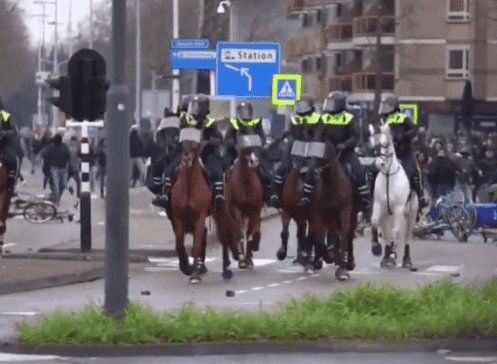 Dutch Police Confront Anti-Immigration Protesters in Clashes
