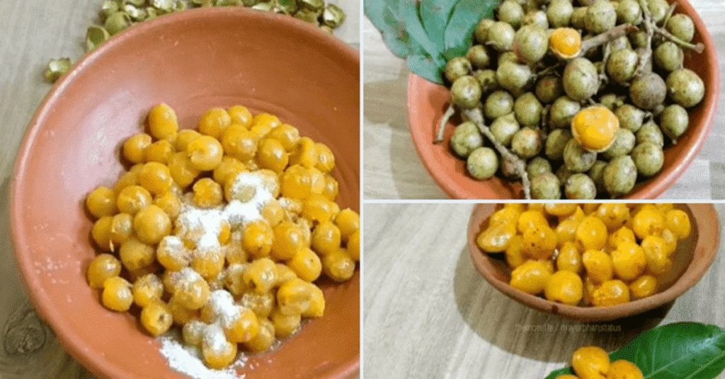 Kusum (Ceylon Oak): Odisha’s Hidden Natural Treasure