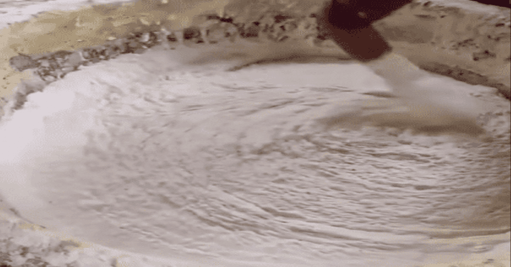 Papad Khana Bandh: Food Lovers Criticize Traditional Papad-Making Process