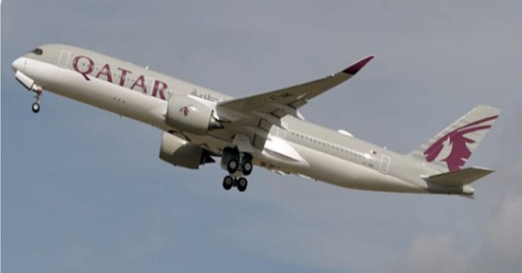 Vegetarian Passenger Dies on Qatar Airways Flight After Being Advised to ‘Eat Around’ Meat-Based Meal