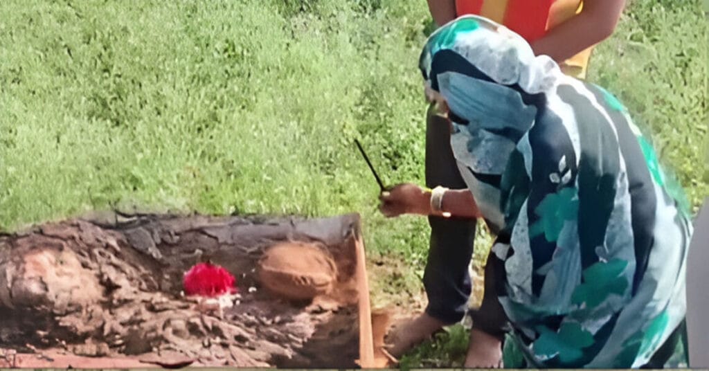 Elderly Woman Breaks Down as 20-Year-Old Peepal Tree She Planted Is Cut Down