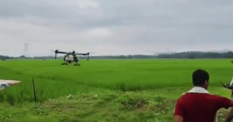 Odisha Farmers Go High-Tech: Drones Spray Pesticides in Nayagarh