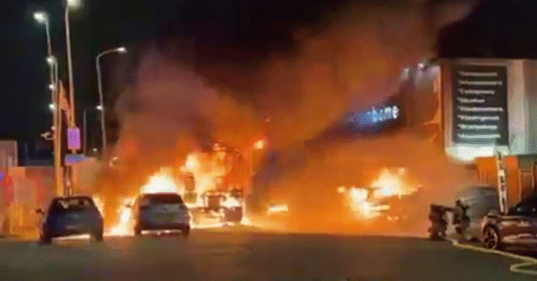 Dutch Police Confront Anti-Immigration Protesters in Clashes