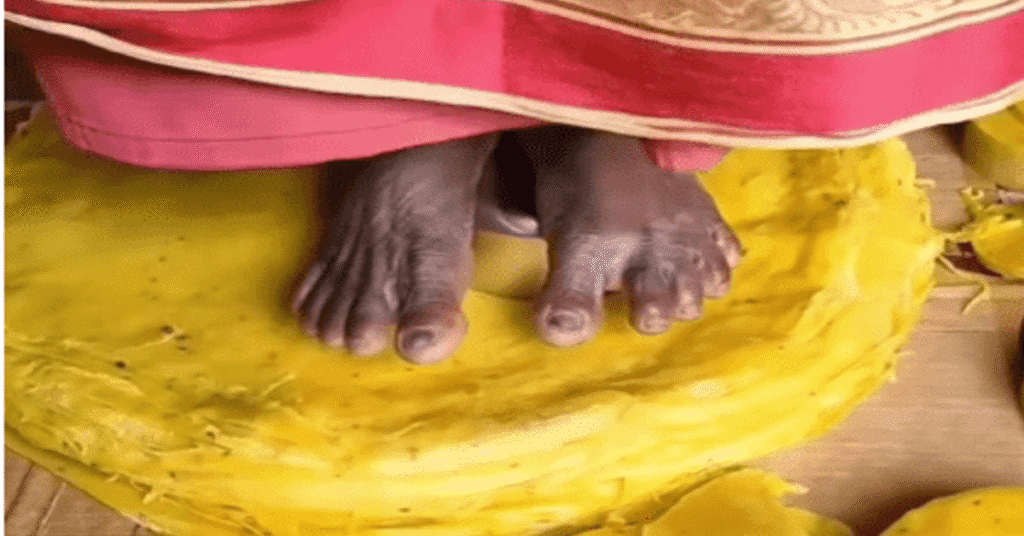 Papad Khana Bandh: Food Lovers Criticize Traditional Papad-Making Process