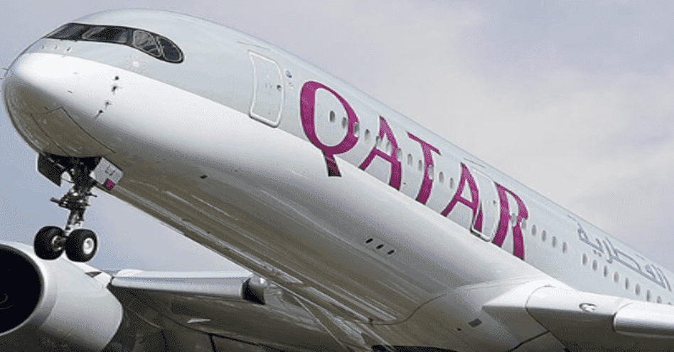 Vegetarian Passenger Dies on Qatar Airways Flight After Being Advised to ‘Eat Around’ Meat-Based Meal