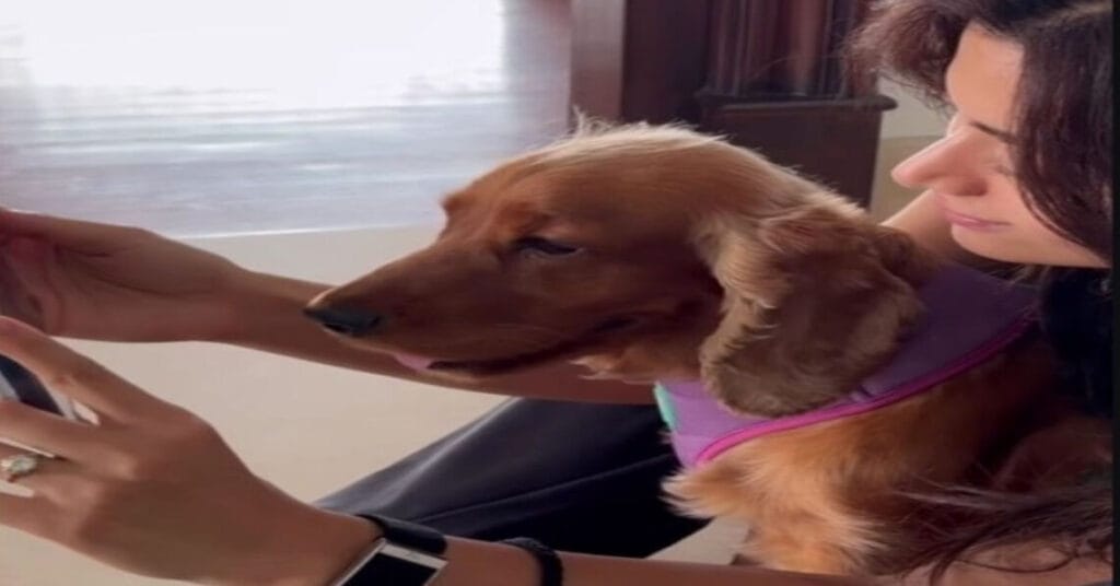 Rashmika Mandanna Flaunts Diamond Ring in First Video After Engagement to Vijay Deverakonda