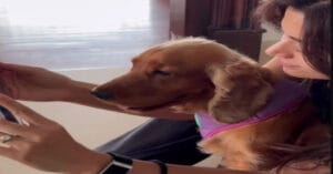 Rashmika Mandanna Flaunts Diamond Ring in First Video After Engagement to Vijay Deverakonda