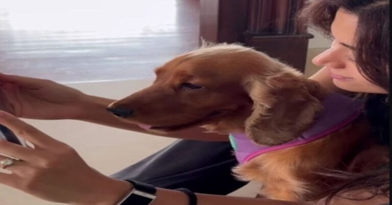 Rashmika Mandanna Flaunts Diamond Ring in First Video After Engagement to Vijay Deverakonda