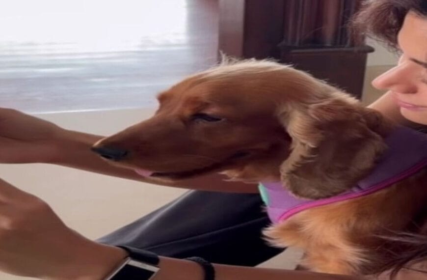 Rashmika Mandanna Flaunts Diamond Ring in First Video After Engagement to Vijay Deverakonda