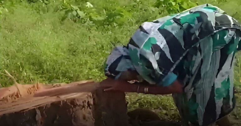 Elderly Woman Breaks Down as 20-Year-Old Peepal Tree She Planted Is Cut Down