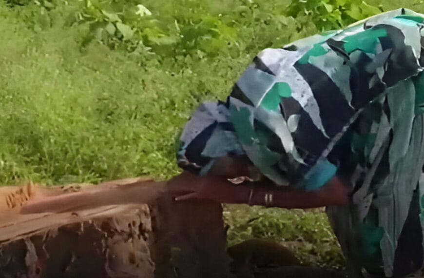 Elderly Woman Breaks Down as 20-Year-Old Peepal Tree She Planted Is Cut Down