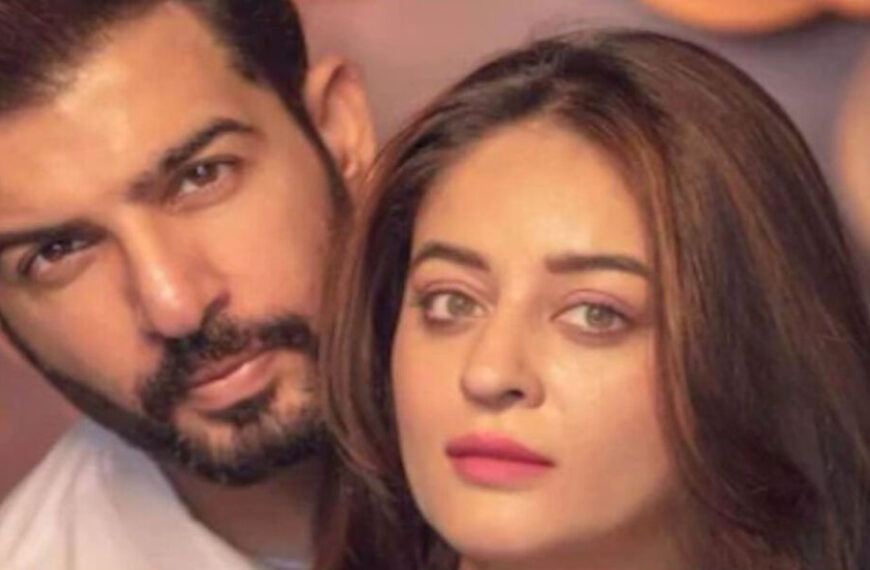 Jay Bhanushali and Mahhi Vij’s Divorce: Who is Wealthier and How Many Children Do They Share?